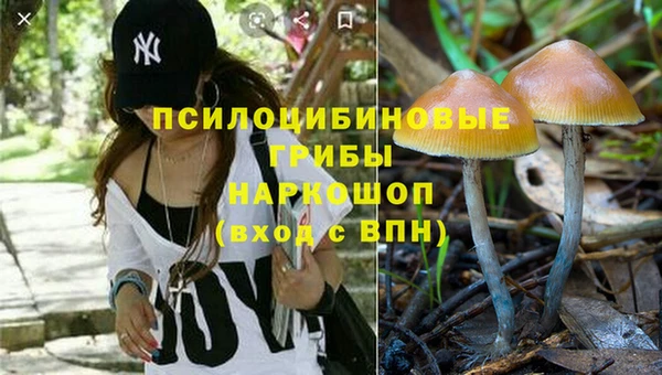 эйфоретик Карталы