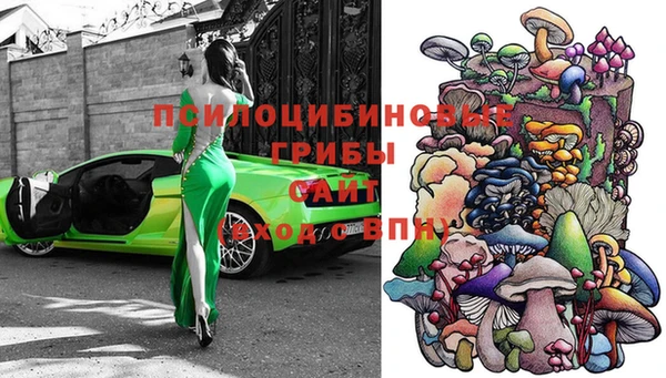 эйфоретик Каменногорск