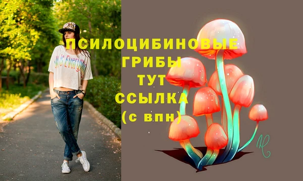 герыч Карпинск